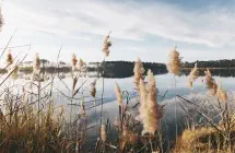 Tutustu eri tuotteisiin ja palveluihin, joille on laskettu hiilijalanjälki.